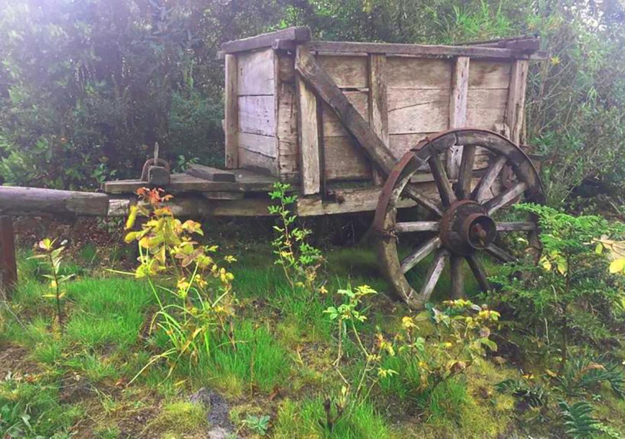 Cabanas Los Cantos Del Chucao Puerto Varas Bagian luar foto